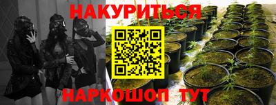 ГАЛЛЮЦИНОГЕННЫЕ ГРИБЫ Краснокаменск