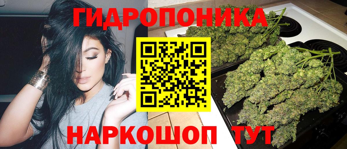 Заволжье  Марихуана тримм  Вход с VPN  Бошки марихуана Amnesia 